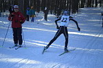 Финальные соревнования по лыжным гонкам
